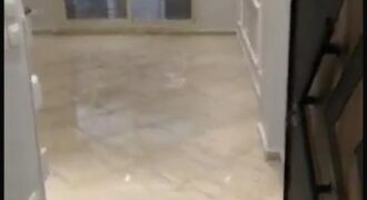 شقه للايجار دار مصر القرنفل