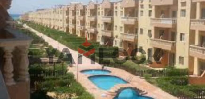 شاليه للايجار فى قريه سبرنج لاند راس سدر شاليه للايجار فى قريه سبرنج لاند راس سدر