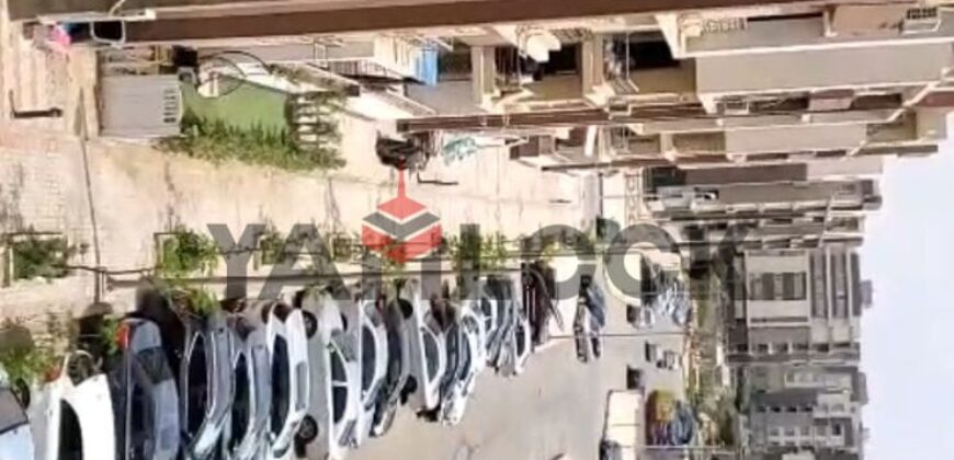 شقه للايجار دار مصر القرنفل