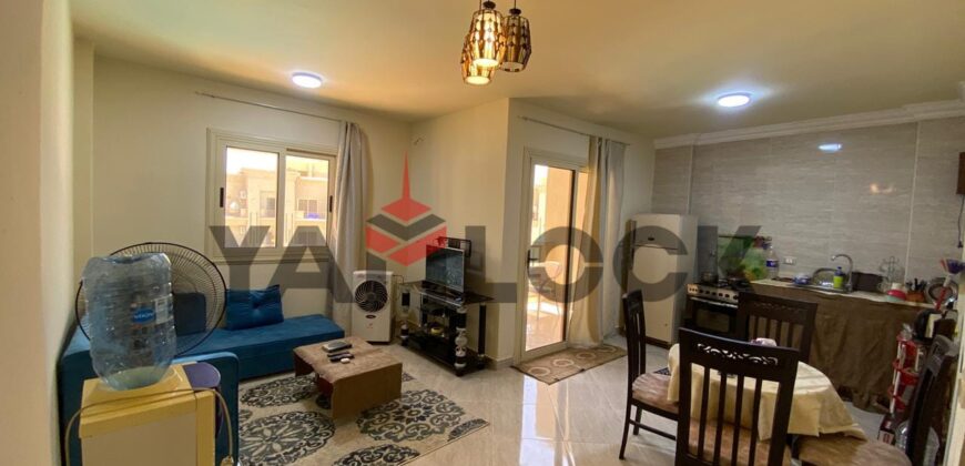 استوديو للايجار فى لاسرينا ميني ايچبت