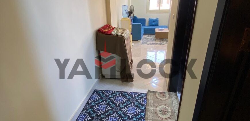 استوديو للايجار فى لاسرينا ميني ايچبت