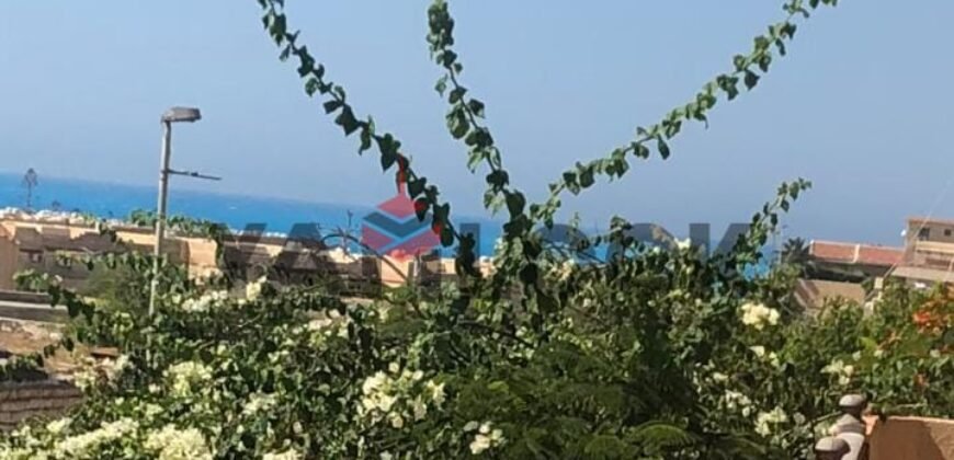 شاليه للايجار سيزون بقريه اللوتس الساحل الشمالي قبل مارينا بواحد كيلو العلمين الجديدة بالكيلو 91 شاليه للايجار سيزون بقريه اللوتس الساحل الشمالي قبل مارينا بواحد كيلو العلمين الجديدة بالكيلو 91