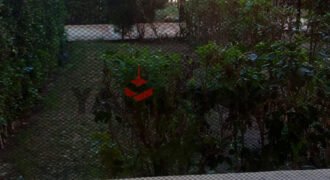 استديو للايجار في بورتو جولف بجاردن خاص عماره 51 استديو للايجار في بورتو جولف بجاردن خاص عماره 51