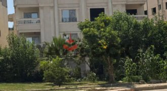 شقه للبيع في الشروق المنطقه السابعه 275م شقه للبيع في الشروق المنطقه السابعه 275م