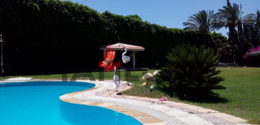 فيلا للايجار في الاسكندريه فيلا للايجار في الاسكندريه