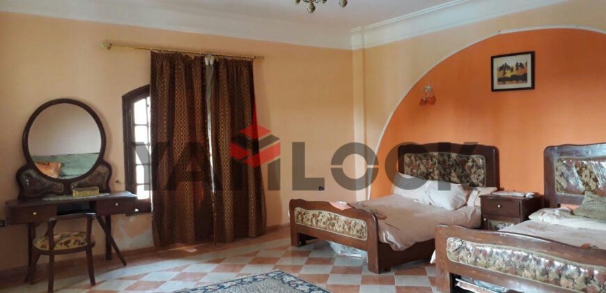 فيلا للايجار في الاسكندريه فيلا للايجار في الاسكندريه