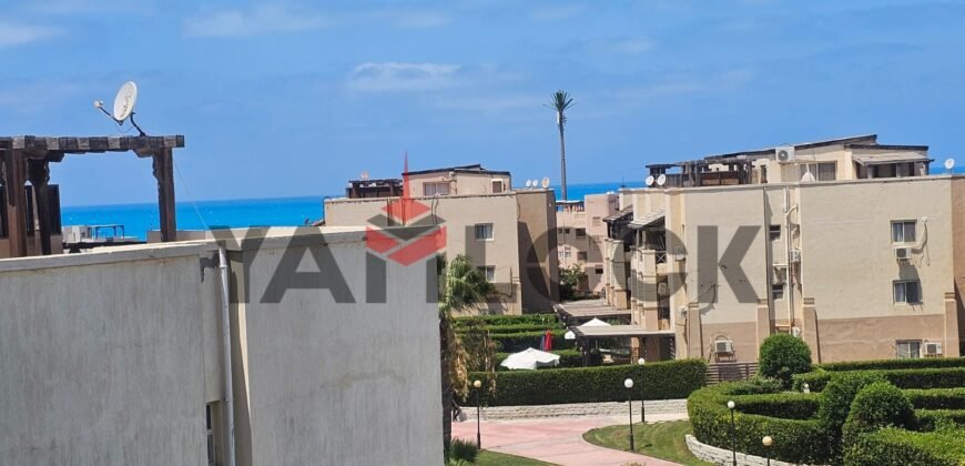 الشاليه للبيع بدون الفرش فى قرية نيس3 الكيلو 75 قريب من البحرمنطقة الفيوليت 47فيوليتC الشاليه للبيع بدون الفرش فى قرية نيس3 الكيلو 75 قريب من البحرمنطقة الفيوليت 47فيوليتC