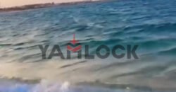 شاليه البيع شامل الفرش و الاجهزه بالكامل في امكسيكو برديس س1 202 شاليه البيع شامل الفرش و الاجهزه بالكامل في امكسيكو برديس س1 202