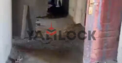 شقه للبيع في الشروق المنطقه السابعه 275م شقه للبيع في الشروق المنطقه السابعه 275م