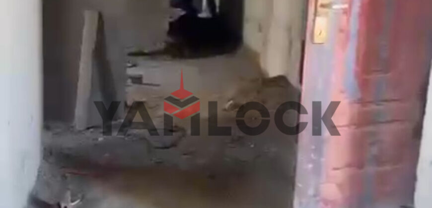 شقه للبيع في الشروق المنطقه السابعه 275م