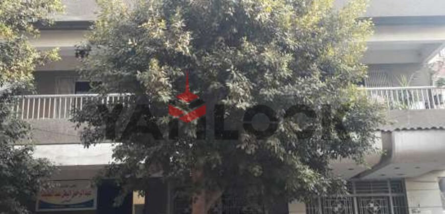 منزل كامل للبيع مساحه الشقه 250م الحي السابع مدينه نصر منزل كامل للبيع مساحه الشقه 250م الحي السابع مدينه نصر