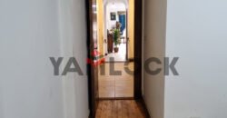 شقه للايجار فى منطقه لوران شارع الشعراوى اسكندريه شقه للايجار فى منطقه لوران شارع الشعراوى اسكندريه