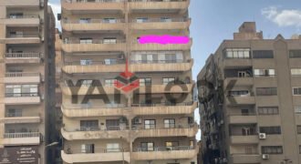 شقه للبيع فى مدينه نصر شارع حسن المأمون شقه للبيع فى مدينه نصر شارع حسن المأمون