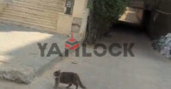 جراج للبيع فى جسرالسويس أمام التجنيد يسع حوالي 80 سياره