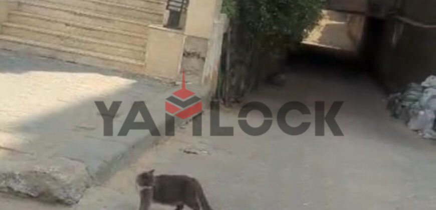 جراج للبيع فى جسرالسويس أمام التجنيد يسع حوالي 80 سياره