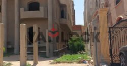 عمارة للايجار في الساحة السادسة ميدان جهينة 6 اكتوبر عمارة للايجار في الساحة السادسة ميدان جهينة 6 اكتوبر