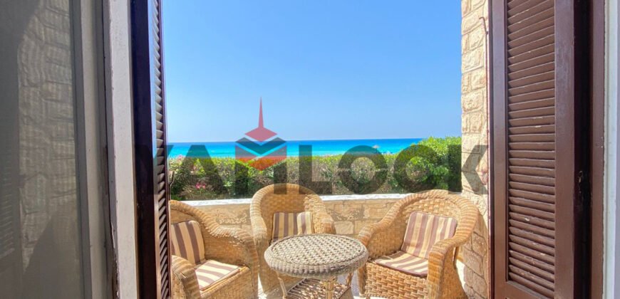 شالية للبيع في قرية امون الساحل الشمالي شالية للبيع في قرية امون الساحل الشمالي