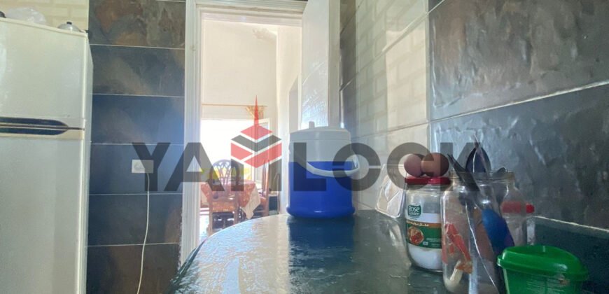 شالية للبيع في قرية امون الساحل الشمالي شالية للبيع في قرية امون الساحل الشمالي