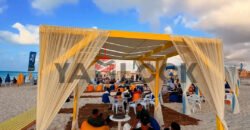 شاليه للايجار بقرية مونتيانو الكيلو 79 قبلي شاليه للايجار بقرية مونتيانو الكيلو 79 قبلي