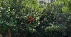 شقة للبيع في التجمع الخامس حي النرجس عمارات شقة للبيع في التجمع الخامس حي النرجس عمارات