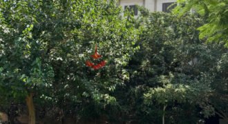 شقة للبيع في التجمع الخامس حي النرجس عمارات شقة للبيع في التجمع الخامس حي النرجس عمارات