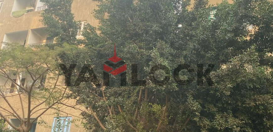 عقار بالدبلوماسيين خلف كشري التحرير- المقطم