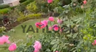 فيلا بسعر شاليه بكناري بيتش السخنه 200م بالعفش فيلا بسعر شاليه بكناري بيتش السخنه 200م بالعفش