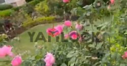 فيلا بسعر شاليه بكناري بيتش السخنه 200م بالعفش فيلا بسعر شاليه بكناري بيتش السخنه 200م بالعفش