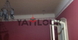 فيلا للبيع فى البيطاش شارع خالد ابن الوليد اسكندريه 500 م فيلا للبيع فى البيطاش شارع خالد ابن الوليد اسكندريه 500 م