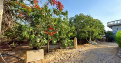 فيلا للبيع في الشرقيه بلبيس مع حمام سباجه وجاردن