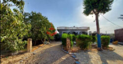 فيلا للبيع في الشرقيه بلبيس مع حمام سباجه وجاردن