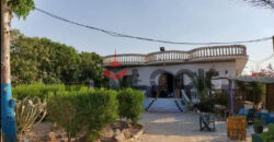 فيلا للبيع في الشرقيه بلبيس مع حمام سباجه وجاردن