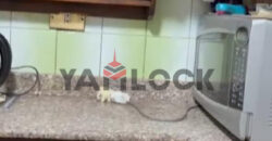 شقة للبيع في شارع فاروق عبد الوهاب – اسكندرية