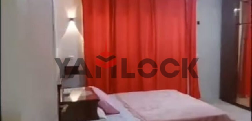 شقة مفروشة للإيجار في المهندسين شارع الجهاد شقة مفروشة للإيجار في المهندسين شارع الجهاد