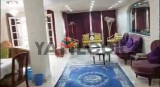 شقة مفروشة للإيجار في المهندسين شارع الجهاد