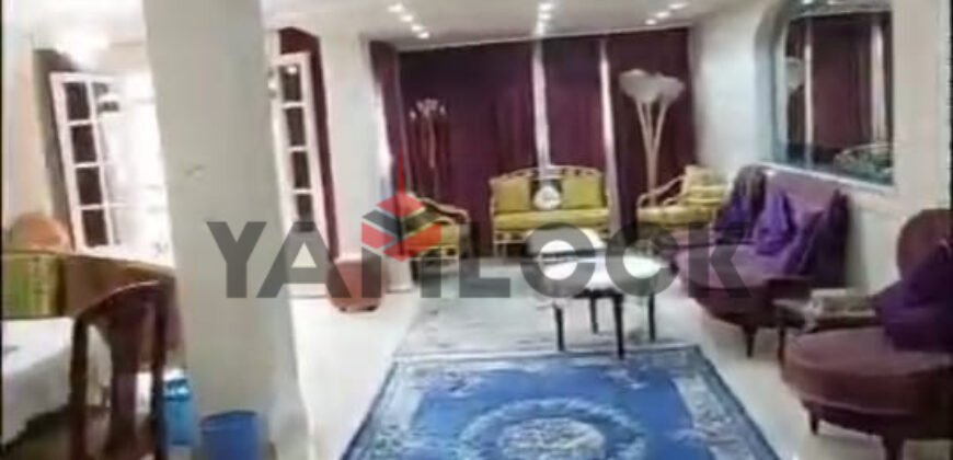 شقة مفروشة للإيجار في المهندسين شارع الجهاد شقة مفروشة للإيجار في المهندسين شارع الجهاد