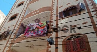 عمارة سكنية للبيع في منطقه الزيوت طريق اخميم سوهاج عمارة سكنية للبيع في منطقه الزيوت طريق اخميم سوهاج