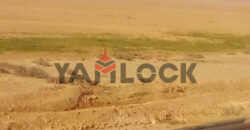 ١٠٠فدان للبيع بوادي النطرون بجوار دير مارجرجس إستصلاح زراعي