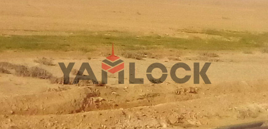 ١٠٠فدان للبيع بوادي النطرون بجوار دير مارجرجس إستصلاح زراعي