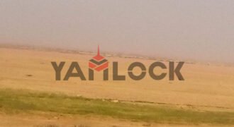 ١٠٠فدان للبيع بوادي النطرون بجوار دير مارجرجس إستصلاح زراعي ١٠٠فدان للبيع بوادي النطرون بجوار دير مارجرجس إستصلاح زراعي