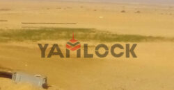 ١٠٠فدان للبيع بوادي النطرون بجوار دير مارجرجس إستصلاح زراعي