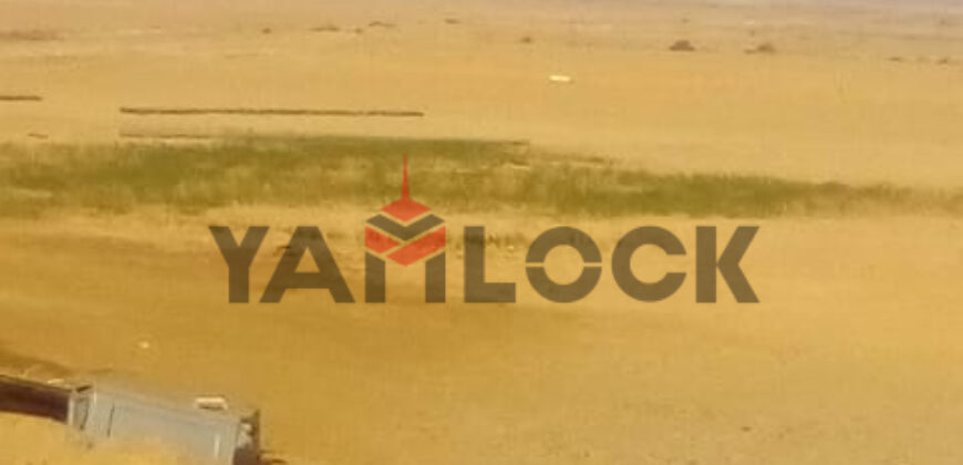 ١٠٠فدان للبيع بوادي النطرون بجوار دير مارجرجس إستصلاح زراعي