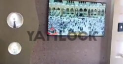 شقة مفروشة للبيع في النخيل اسكندرية