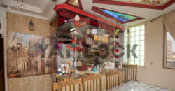 روف دوبلكس دورين 15 و16 شارع فرنسا اسكندريه