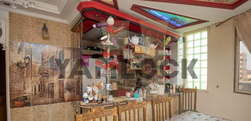 روف دوبلكس دورين 15 و16 شارع فرنسا اسكندريه