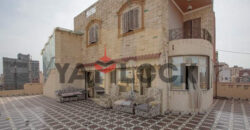 روف دوبلكس دورين 15 و16 شارع فرنسا اسكندريه