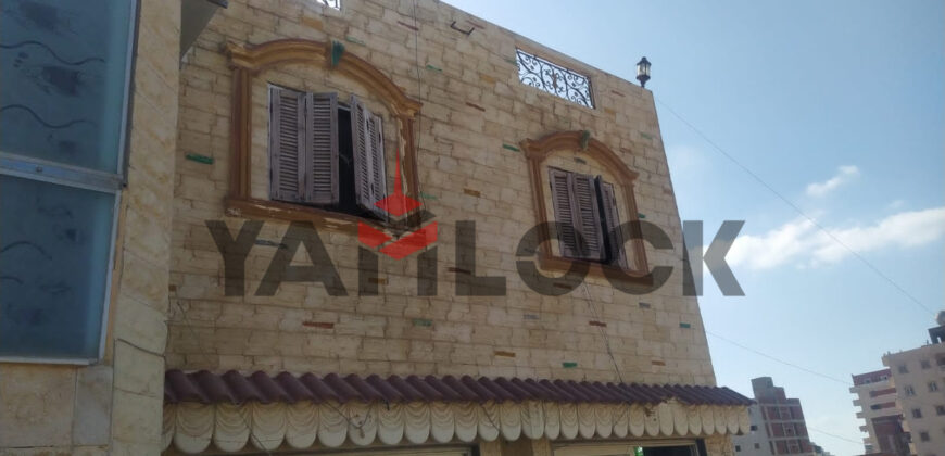 روف دوبلكس دورين 15 و16 شارع فرنسا اسكندريه