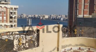 روف دوبلكس دورين 15 و16 شارع فرنسا اسكندريه روف دوبلكس دورين 15 و16 شارع فرنسا اسكندريه