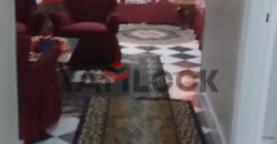 شقه مفروش للايجار مفروش في فكتوريا الاسكندريه