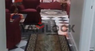 شقه مفروش للايجار مفروش في فكتوريا الاسكندريه شقه مفروش للايجار مفروش في فكتوريا الاسكندريه